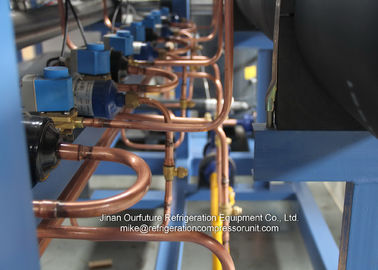 Supports parallèles à vis de compresseur de marque de R404a Bitzer pour la chambre froide chimique