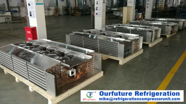 Vaporisateur de refroidisseur d'unité/unité légers refroidissement à l'air avec le dégivrage à gaz chaud pour l'entreposage au froid