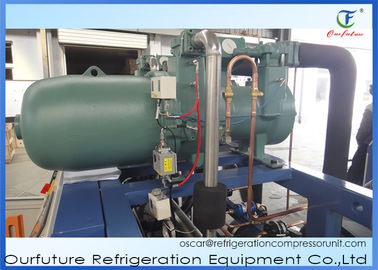 Unités de réfrigération de condensation de vis d'unité de congélateur à faible bruit pour les chambres froides