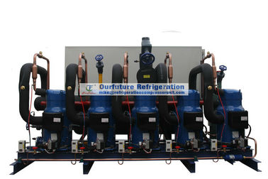 Type de rouleau unité de condensation avec le compresseur de Danfoss R404a et le contrôle de PLC pour l'installation frigorifique
