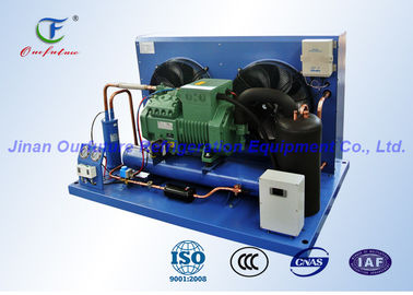 3 phase Bitzer échangeant le réfrigérateur de compresseur pour le congélateur de plain-pied commercial