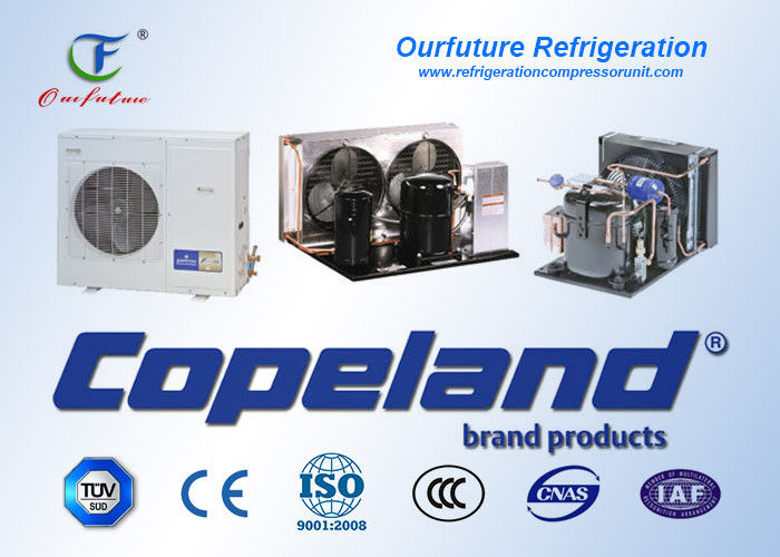 unité Copeland de compresseur de chambre froide de parallèle de rouleau de 15 - de 90 HP hermétique